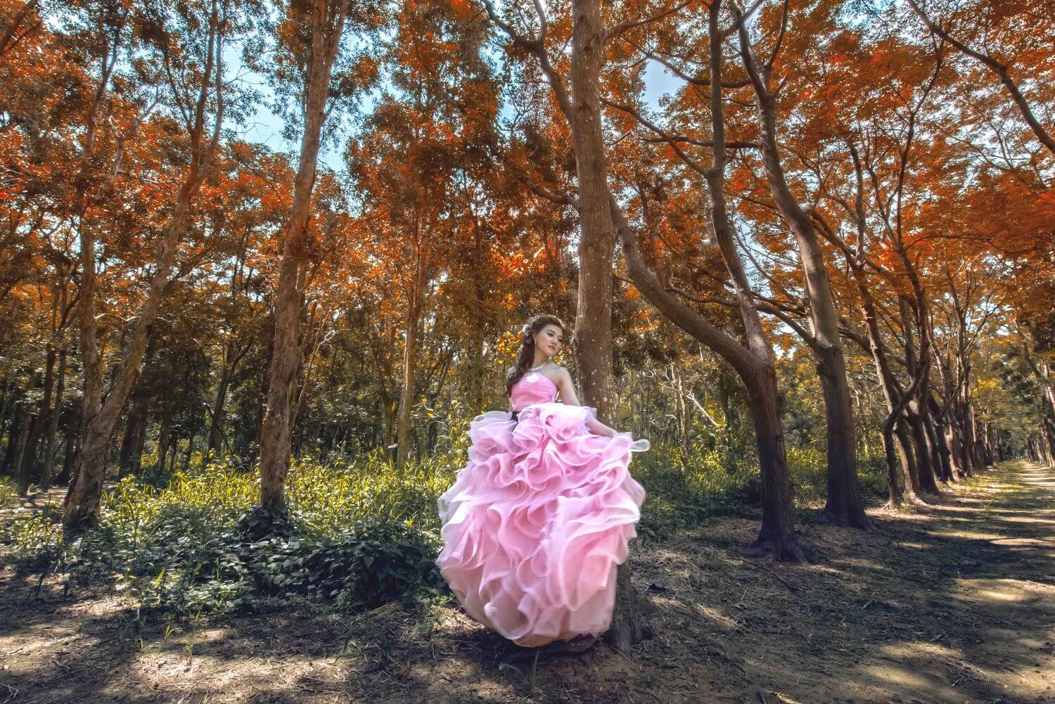 虎山森林婚紗的第2張圖片